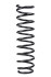 Пружина передня Chevrolet Spark/Matiz 98- (372*10,3*103) - ((96316749, 96323313, 96518357)) RAISO SF160TP (фото 1)