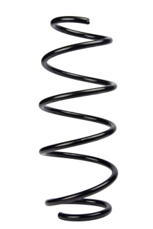 Пружина передня Ford Fiesta V/Mazda 2 01-08 (360,0*11,3*144) - RAISO SF173TP