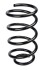 Пружина передня Ford Kuga I 08-12 (310*15*161) - ((8V415310NHB, 8V415310NHD, 1683597, 1502439, 1508534)) RAISO SF189TP (фото 1)