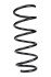 Пружина підвіски RAISO SF249TP - зображення 1