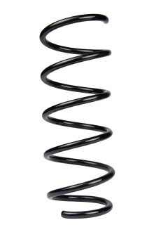 Пружина передня Duster 10-18 (385*12,5*138) - RAISO SF249TP