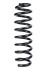 Пружина задня BMW 3 (E90/E92) 04-13 (342*13,3*100) - ((6767339, 33536764393, 33536767336, 33536767337, 33536767338)) RAISO SR135TP (фото 1)