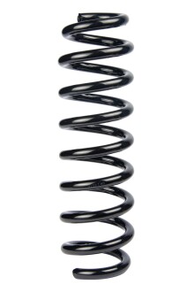Пружина задня BMW 3 (E90/E92) 04-13 (342*13,3*100) - RAISO SR135TP