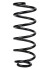 Пружина задня Fiat Fiorino 07- (326*12,25*120) - ((51819843, 51819844, 51819845, 5102AJ, 5102AK)) RAISO SR150TP (фото 1)