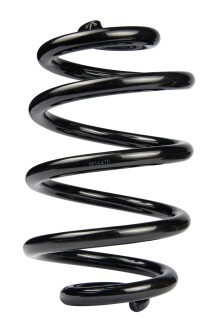 Пружина задня BMW 3 (E46) 99-07 (243*15*143) - RAISO SR164TP