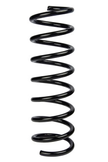 Пружина задня Ford C-Max/Focus C-Max 03-10 (360*11,7*110) - RAISO SR167TP