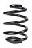 Пружина задня Ford Galaxy I/Seat Alhambra/VW Sharan 95-10 (254*17*166) - ((1065400, 7378778, 1065402, 7378779, 7378780)) RAISO SR185TP (фото 1)