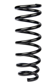 Пружина задня Avensis 03-08 (311*12,8*110) - RAISO SR230TP