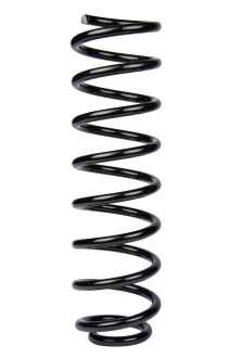 Пружина задня Megane II (універсал) 03- (372*11*100) - RAISO SR236TP