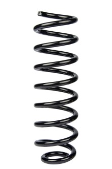 Пружина задня Scenic II 03-09 (338*11,8*103) - RAISO SR238TP