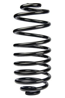 Пружина задня Kangoo II 08- (376*14,5*161) - ((8200754873)) RAISO SR243TP