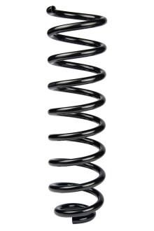 Пружина задня Scenic II 03- (373*12*103) - ((8200297954)) RAISO SR245TP