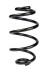 Пружина задня Clio III/Modus/Note 05- (270*13*136) - ((8200843953, 8200341248, 8200620457, 8200843954, 550209U00A)) RAISO SR252TP (фото 1)