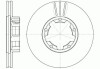 Гальмівний диск - (061002950, 40206F3902, 61002950) REMSA 6234.11 (фото 1)