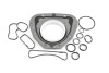 Комплект прокладок Master/Trafic/Laguna/Megane 2.0dCi 01- (нижній) - RENAULT 101013580R (фото 1)