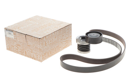 Фото 2 - Ролик ременя приводного RENAULT 117201925R