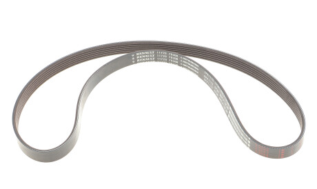 Фото 3 - Ролик ременя приводного RENAULT 117201925R