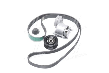 Фото 3 - Ролик ременя приводного RENAULT 117207538R