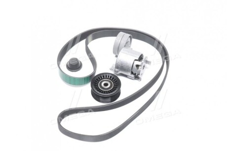 Фото 4 - Ролик ременя приводного RENAULT 117207538R