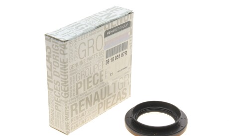 Сальник заднього редуктора 2 частини Master III, Movano B 2010- - RENAULT 381895167R