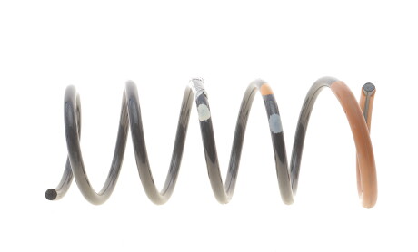 Фото 5 - Пружина підвіски RENAULT 550202720R