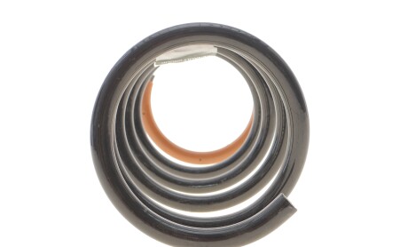 Фото 8 - Пружина підвіски RENAULT 550202720R