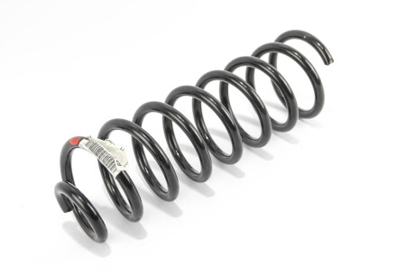 Фото 2 - Пружина підвіски RENAULT 6001548731