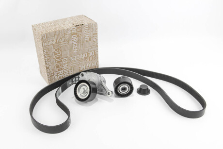 Ремк-кт привода (ремень 7PK1705+нат 117507568R+ролик 8200725951) - ((7701476644)) RENAULT 7701478233