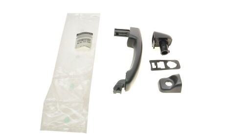 Ручка дверей (ззовні) Trafic III 14- - RENAULT 806075522R