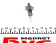 Автолампа H1 P14,5s 55 W прозрачная - (621698) Ring R448 (фото 2)