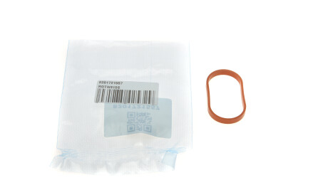 Фото 2 - Прокладка впускного коллектора ROTWEISS 8201721557