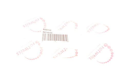 Фото 2 - Паливний насос ROTWEISS RWS1142