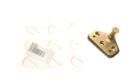 Скоба замка дверей (бічних) Renault Master 98- (7700351346) - ROTWEISS RWS1239