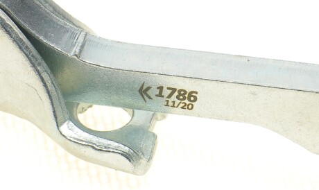 Фото 2 - Дверь ROTWEISS RWS1650