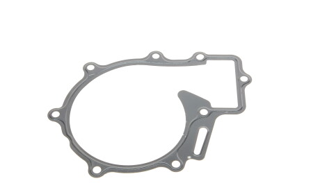 Фото 2 - Водяной насос ROTWEISS RWS1725