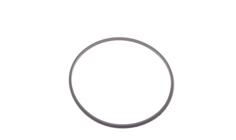 Фото 2 - Елемент паливної системи ROTWEISS RWS1957