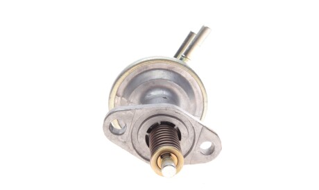 Фото 3 - Паливний насос ROTWEISS RWS2071