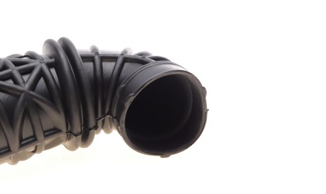 Фото 2 - Система впуску ROTWEISS RWS2122