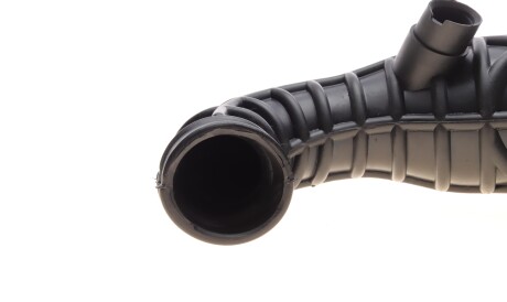 Фото 3 - Система впуску ROTWEISS RWS2122