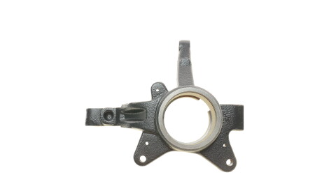 Фото 2 - Поворотный кулак ROTWEISS RWS2203