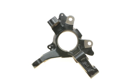 Фото 2 - Поворотный кулак ROTWEISS RWS2206