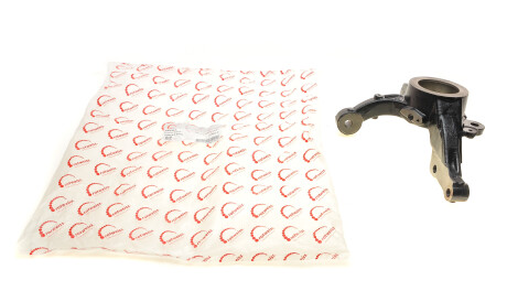 Кулак поворотный (цапфа) Fiat Doblo 09- (L) - ROTWEISS RWS2221