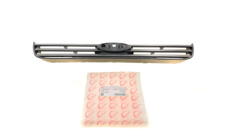 Решетка радиатора Ford Connect 09-13 - ROTWEISS RWS2283