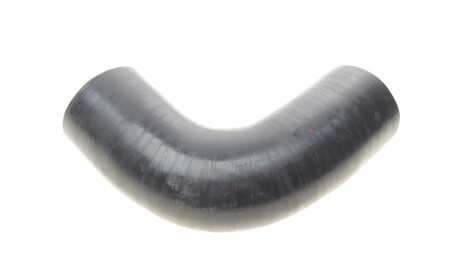 Фото 2 - Патрубок турбіни ROTWEISS RWS2442