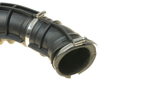 Фото 3 - Система впуску ROTWEISS RWS2445