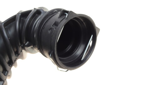 Фото 3 - Система впуску ROTWEISS RWS2458