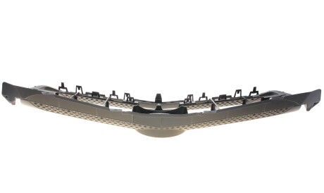 Фото 3 - Решетка радиатора ROTWEISS RWS2809