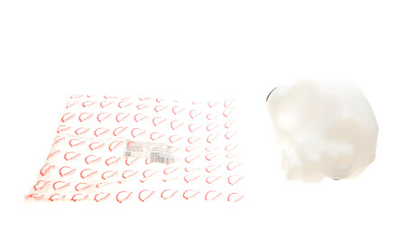 Бачок омивача - ROTWEISS RWS2918