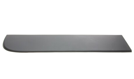 Молдинг двери (задней) Renault Master 10- (L) - ROTWEISS RWS2922