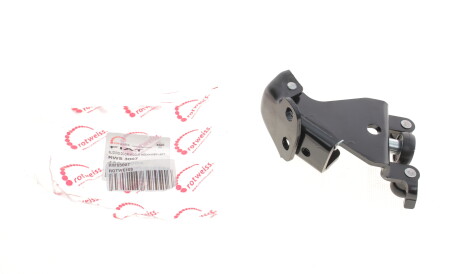 Фото 3 - Двері ROTWEISS RWS3007